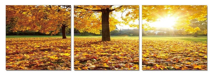 Τοποθετημένη εκτύπωση έργου τέχνης Sun rays fall