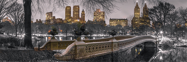 Плакат New York - Bow Bridge Central Park