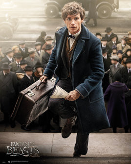 Плакат Fantastic Beasts and Where to Find Them - Newt Scamander
