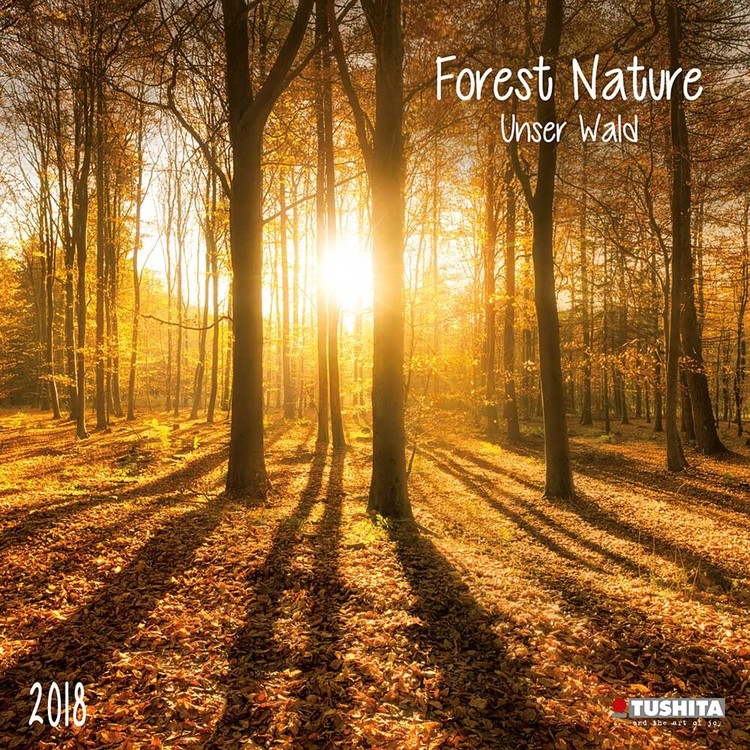 Calendar 2018 Forest Nature