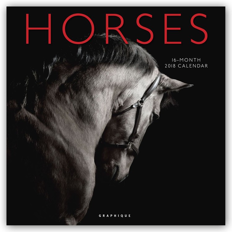 Koledar 2027 Horses
