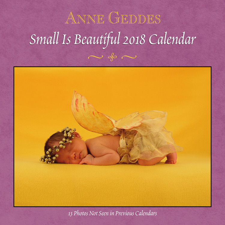 Календар 2027 Anne Geddes - Small is Beautiful