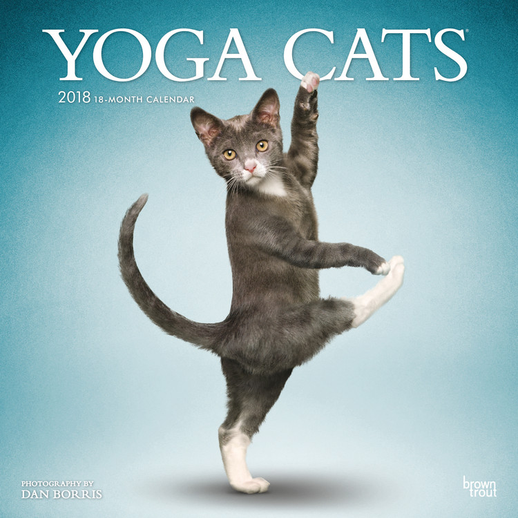 Kalendar 2027 Yoga Cats