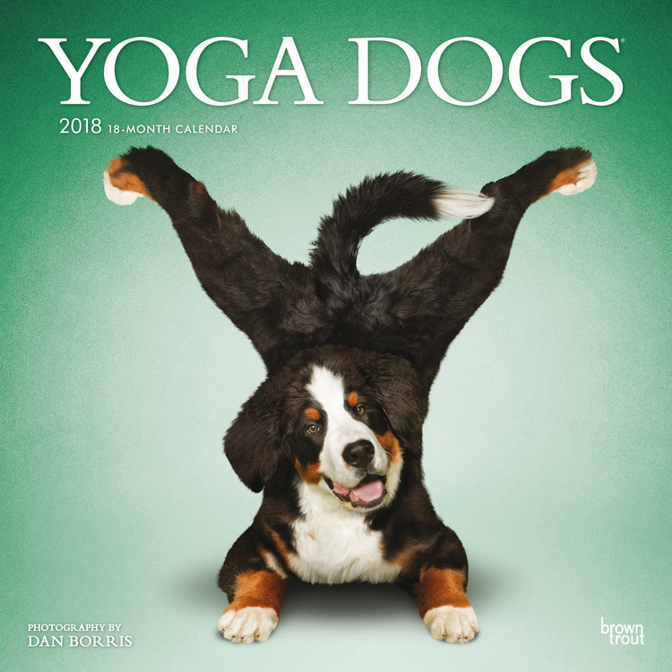 Calendar 2018 Yoga Dogs