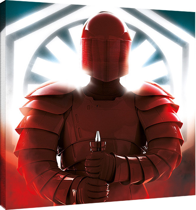 Принти на полотні Star Wars The Last Jedi - Elite Guard Defend