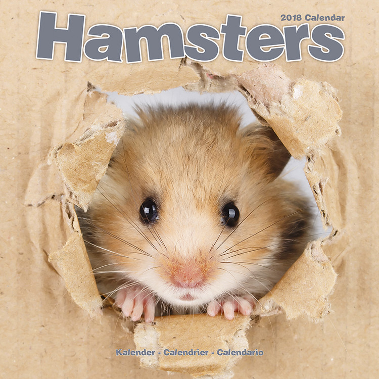 Календар 2027 Hamsters