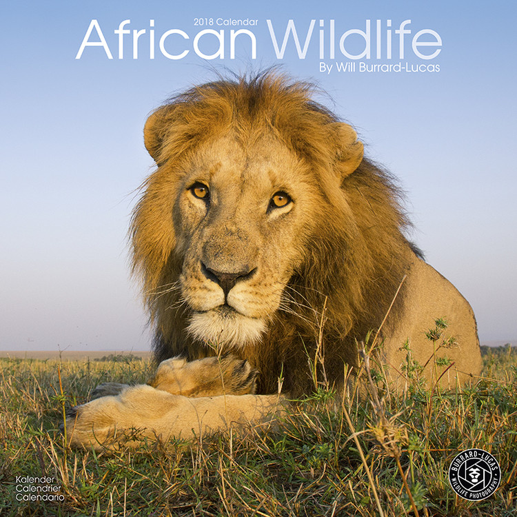 Ημερολόγιο 2027 African Wildlife