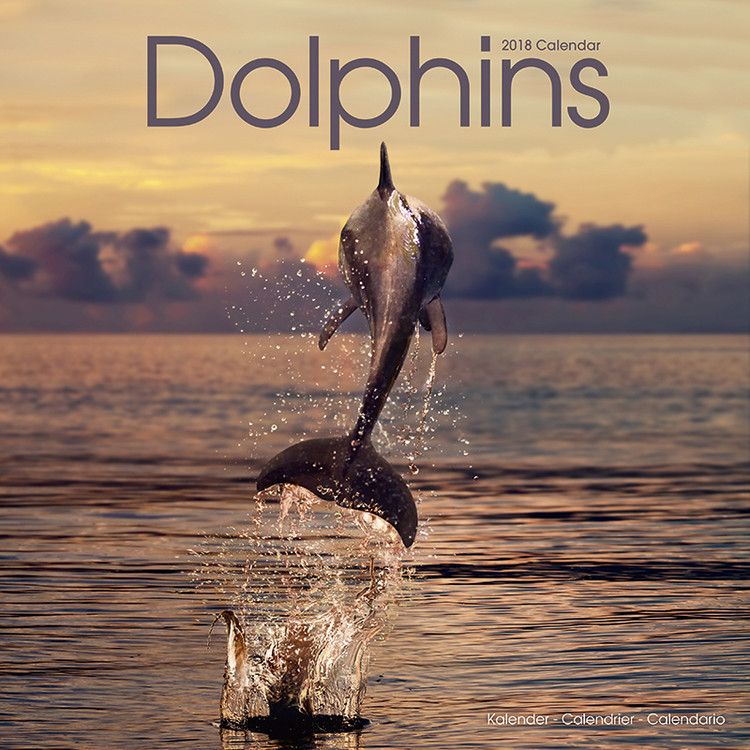 Календар 2027 Dolphins