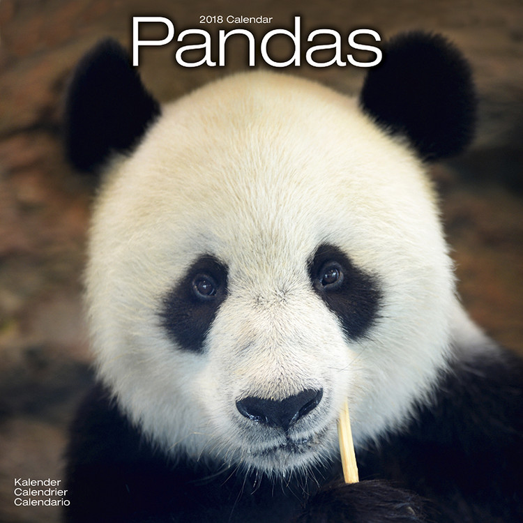 Ημερολόγιο 2027 Pandas