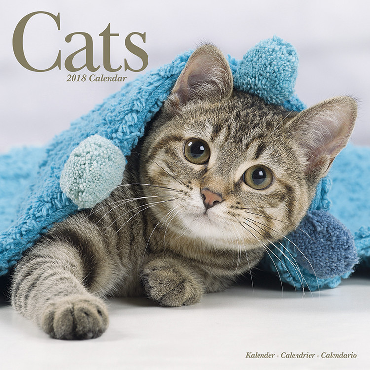 Kalendar 2027 Cats