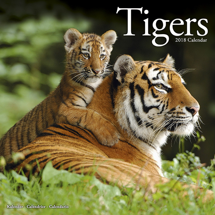 Ημερολόγιο 2027 Tigers