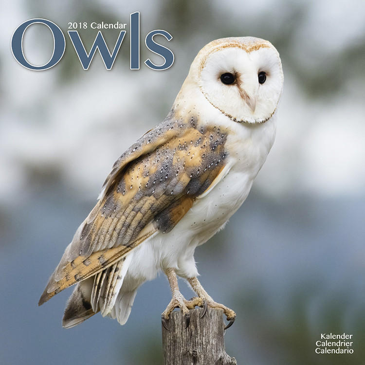 Calendar 2018 Owls
