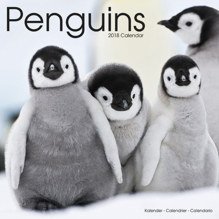 Ημερολόγιο 2027 Penguins
