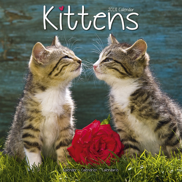 Kalenteri 2027 Kittens