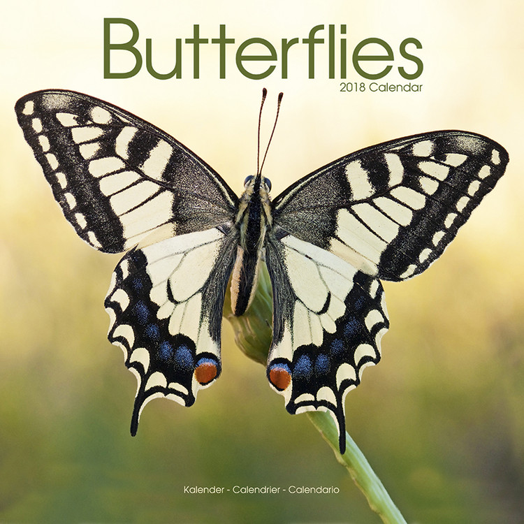 Ημερολόγιο 2027 Butterflies