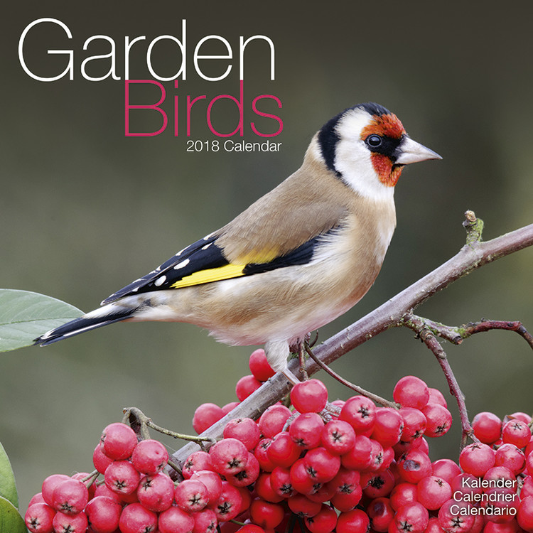 Ημερολόγιο 2027 Garden Birds