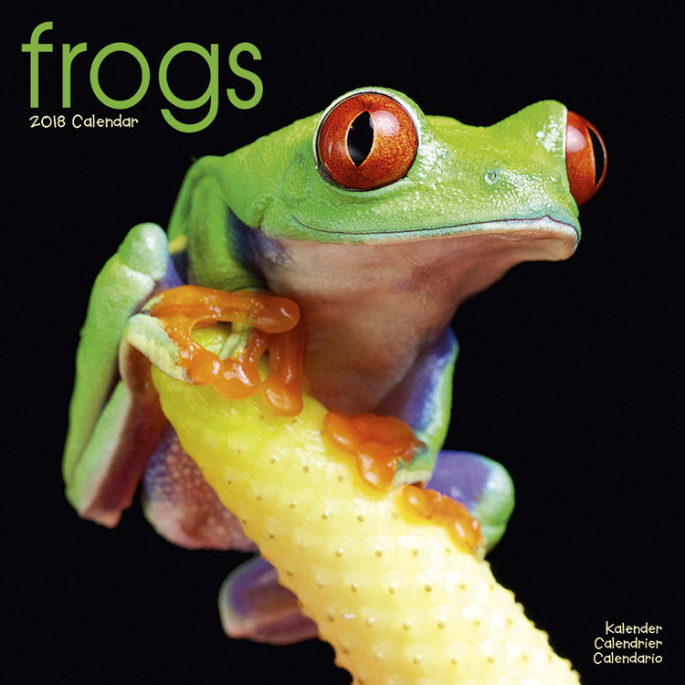 Kalenteri 2027 Frogs