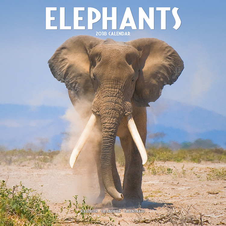 Calendar 2027 Elephants