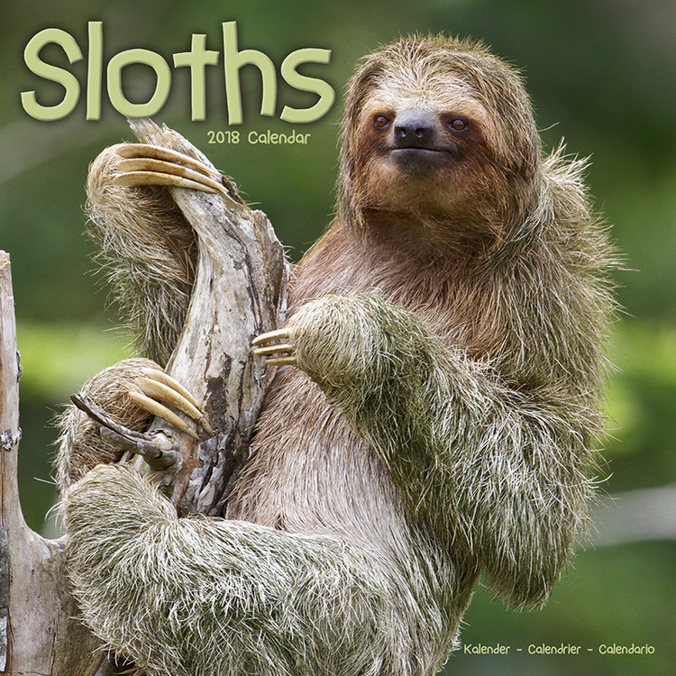 Kalendar 2027 Sloths