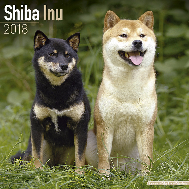 Calendar 2018 Shiba Inu