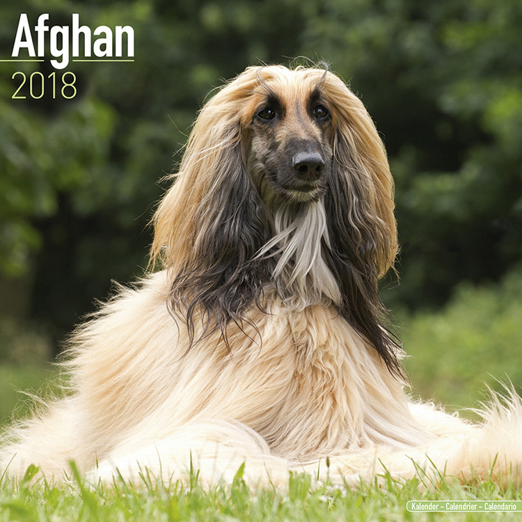 Kalenteri 2027 Afghan