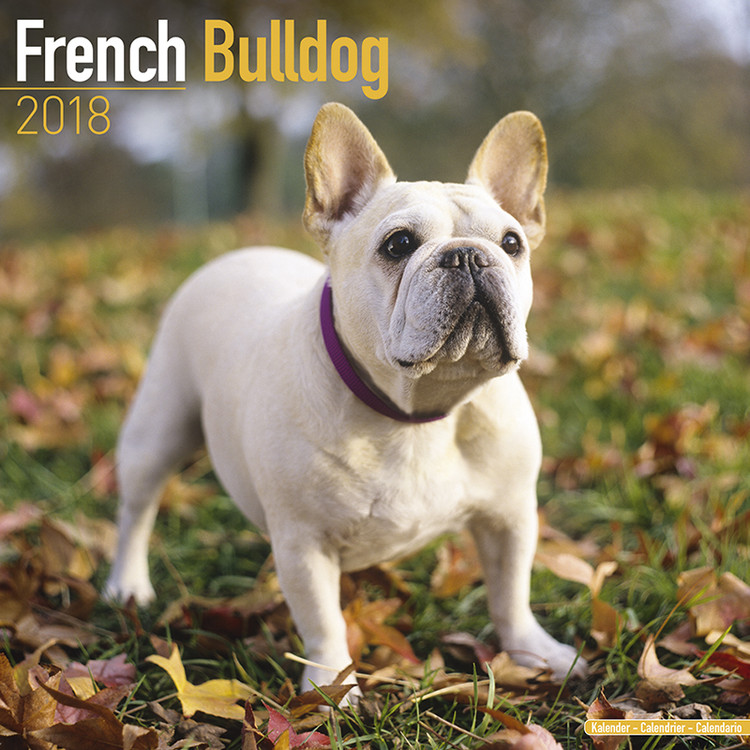 Ημερολόγιο 2027 French Bulldog