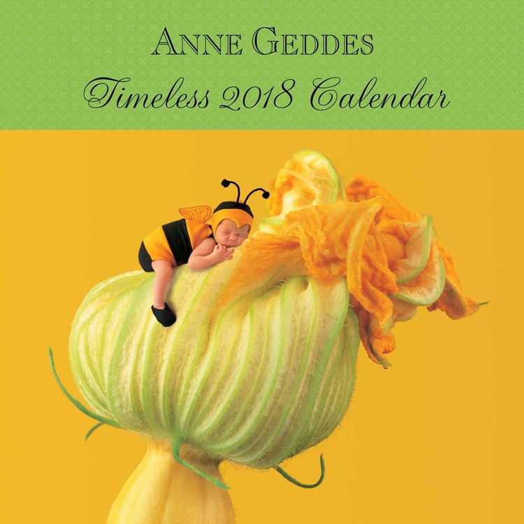 Календар 2027 Anne Geddes - Timeless