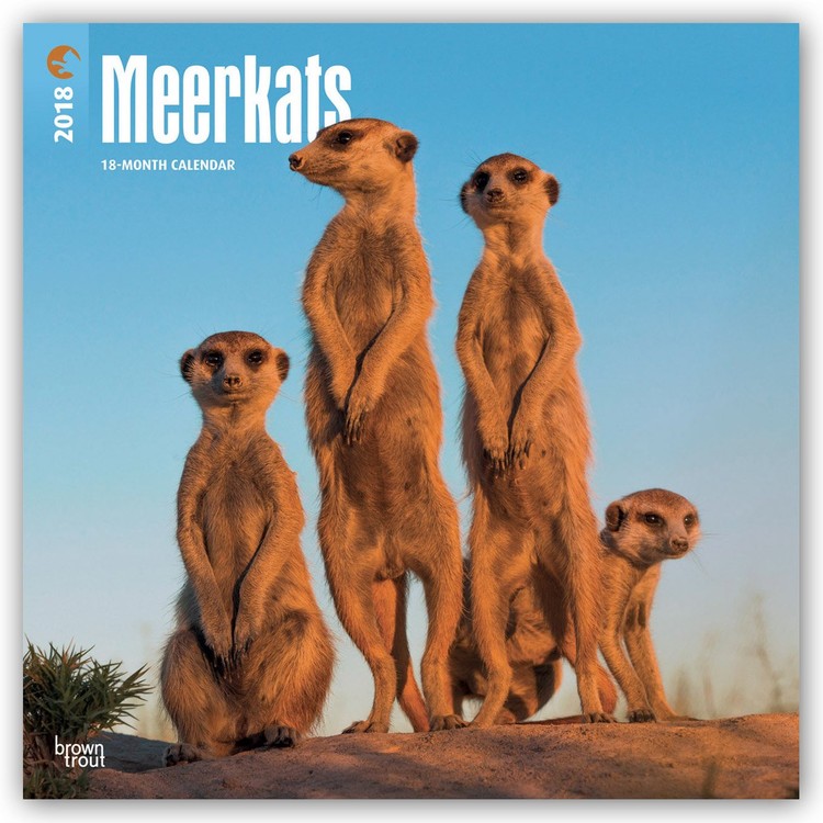 Calendar 2018 Meerkats