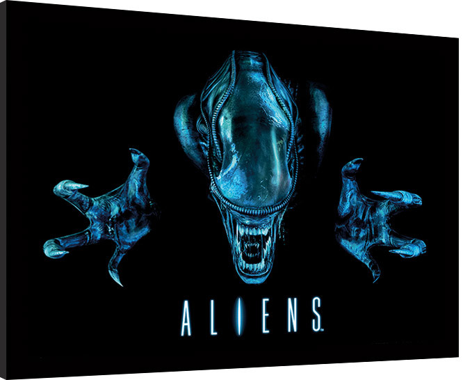 Κορνιζαρισμένη αφίσα Aliens - Out of the darkness