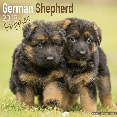 Kalenteri 2027 German Shepherd