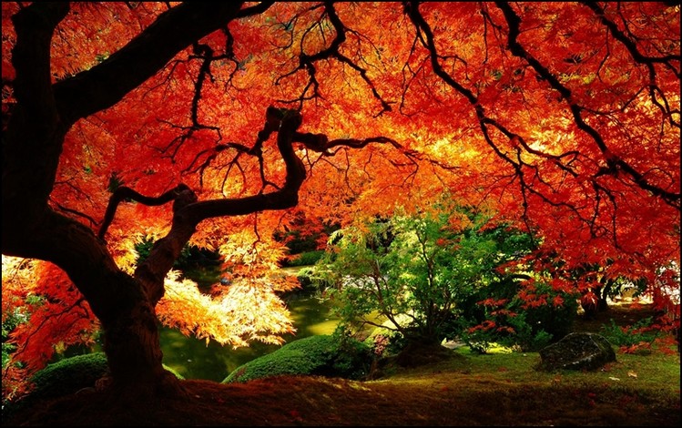 The Contemporaries Картина