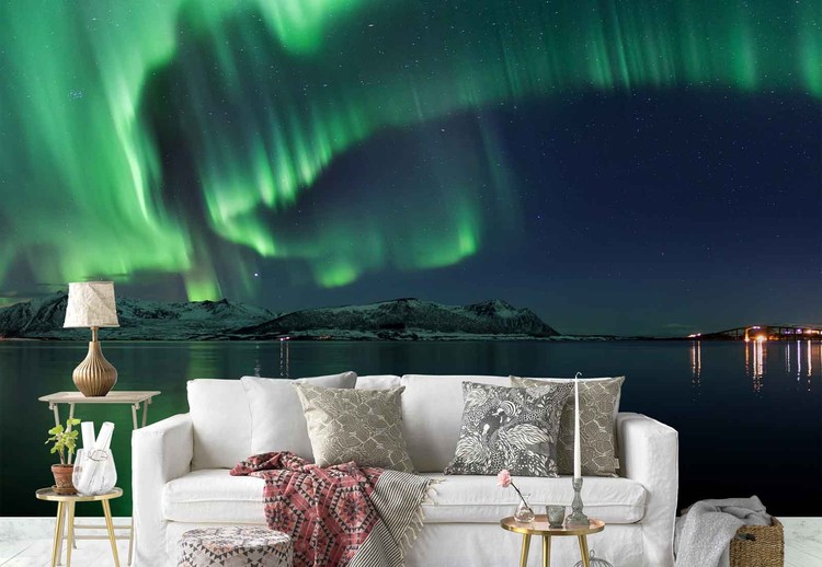 Фототапет Magical Night