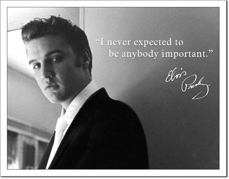 Metallikyltti ELVIS PRESLEY - important