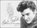 Μεταλλική πινακίδα ELVIS PRESLEY - guitar
