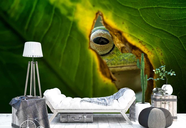 Ταπετσαρία Peeking Frog