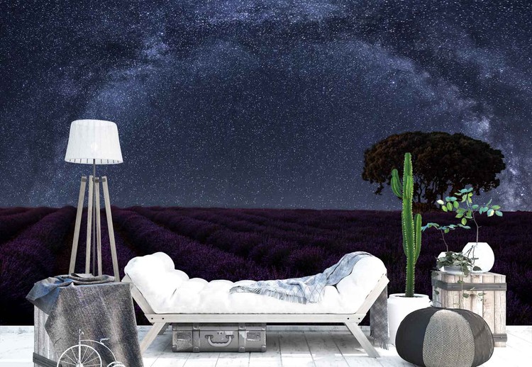 Ταπετσαρία Lavender In Brihuega