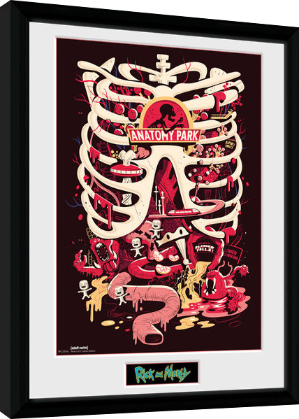 Poster emoldurado Rick and Morty - Anatomy Park