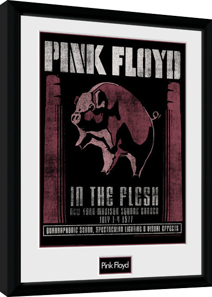Uokvireni poster Pink Floyd - 1977