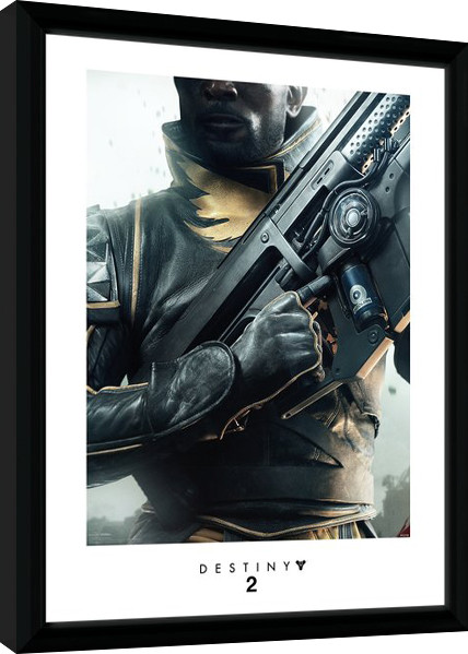 Poster emoldurado Destiny 2 - Warlock