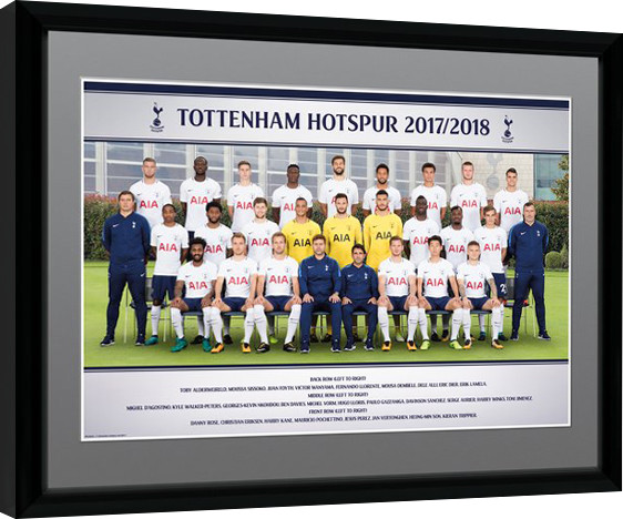 Κορνιζαρισμένη αφίσα Tottenham Hotspur - Team Photo 17/18