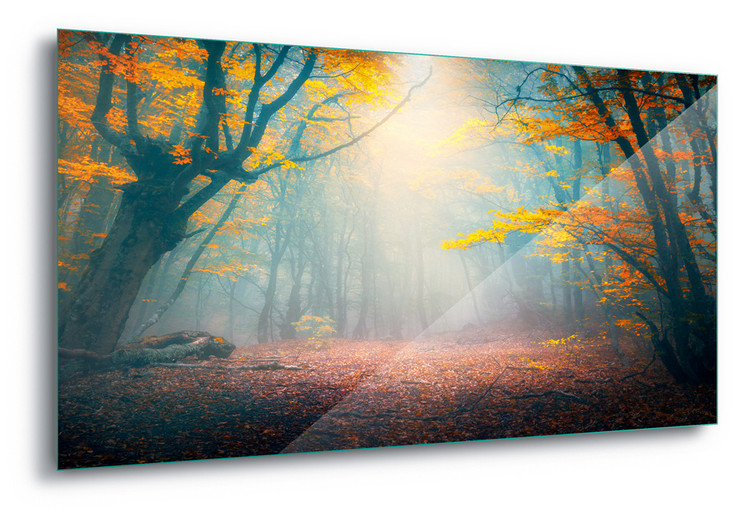 Принт стъкло The Enchanted Forest