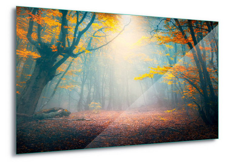 Принт стъкло The Enchanted Forest