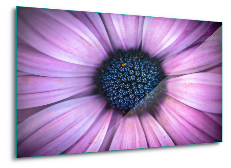 Glass Art Mesmerising