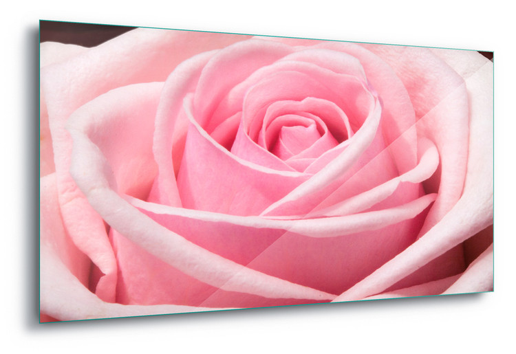 Принт стъкло The Sensual Rose