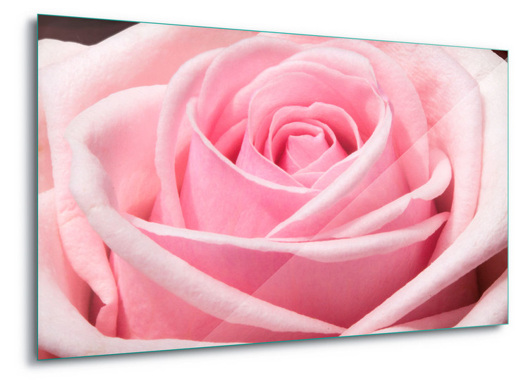 The Sensual Rose Steklena slika