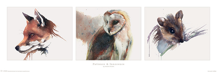 Плакат Sarah Stokes - Patience & Innocence