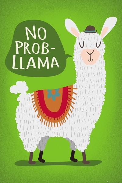Poster, Quadro Llama No Probllama Posters de parede 3+1