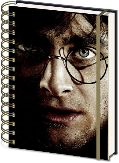 Notebook Harry Potter - Harry Voldemort 3D Cover