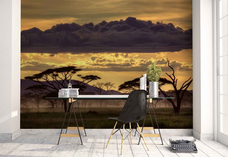 Good Evening Tanzania Wallpaper Mural