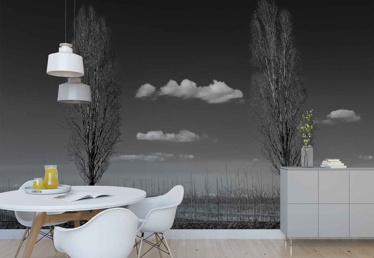 Two Of Us Wallpaper Mural